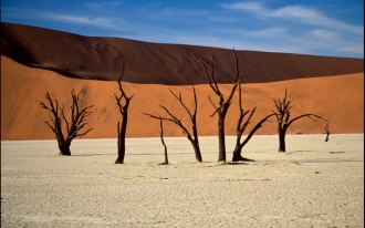 08a-Namibie-31.jpg
